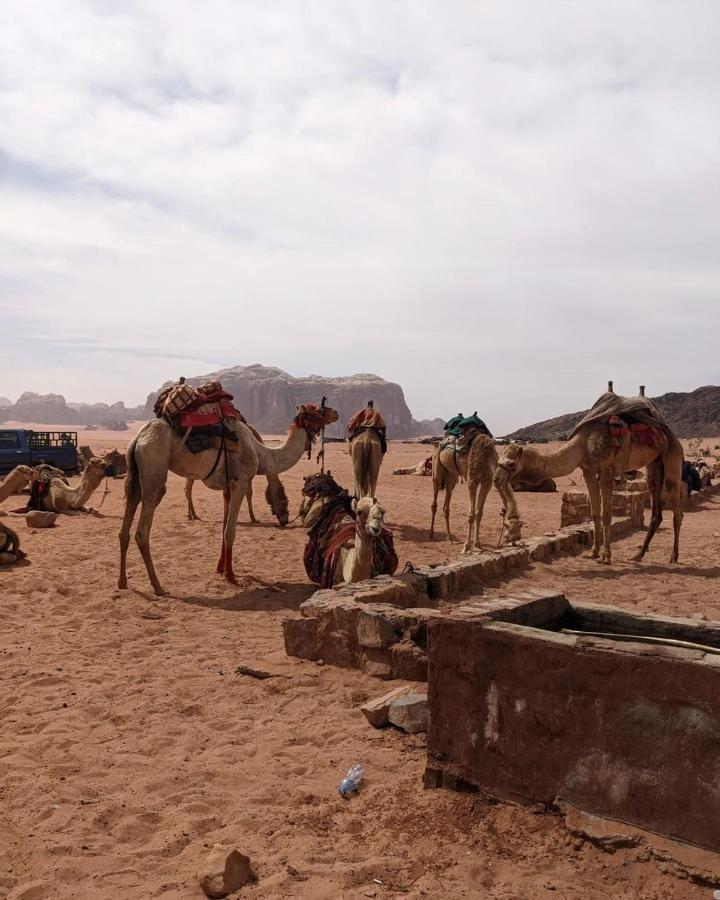 Wadi Rum Fun Time Tour'S Buitenkant foto