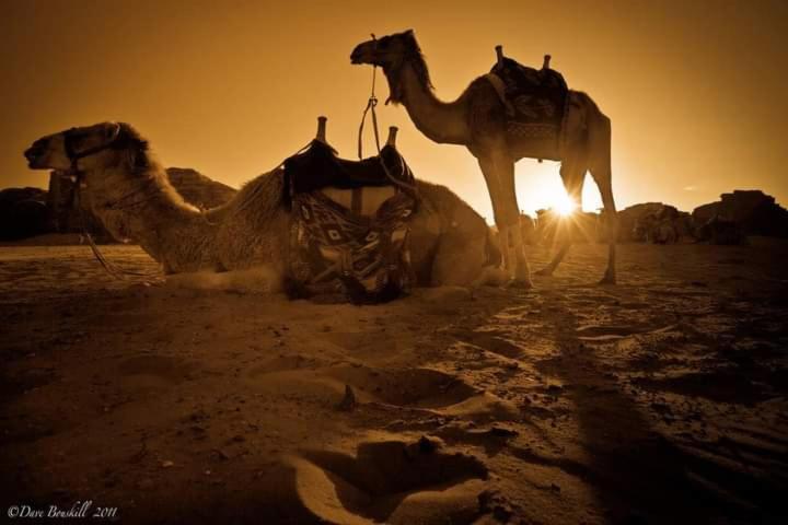 Wadi Rum Fun Time Tour'S Buitenkant foto