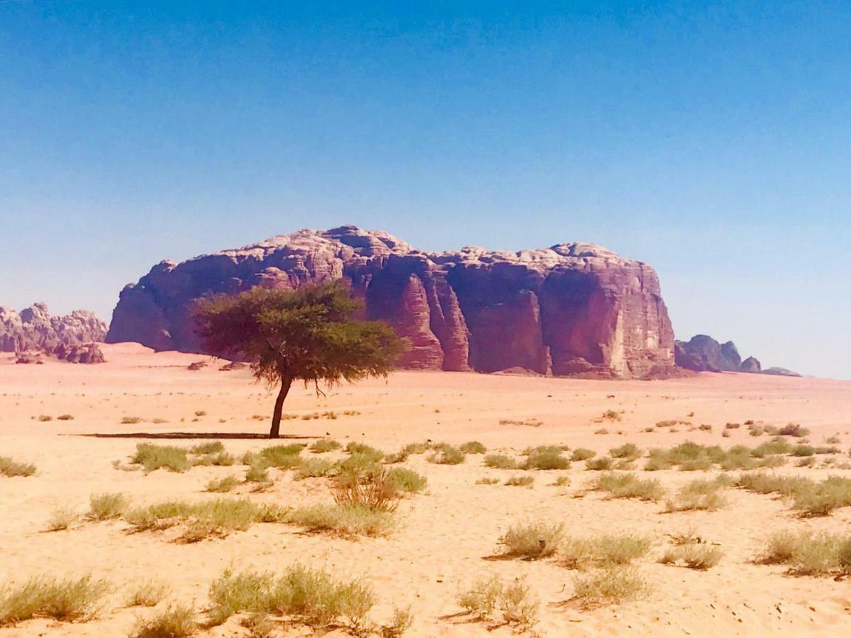 Wadi Rum Fun Time Tour'S Buitenkant foto